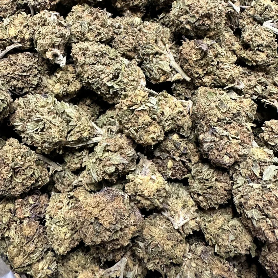Chem Dog – THCA Flower Buds (Exotic Indoor)