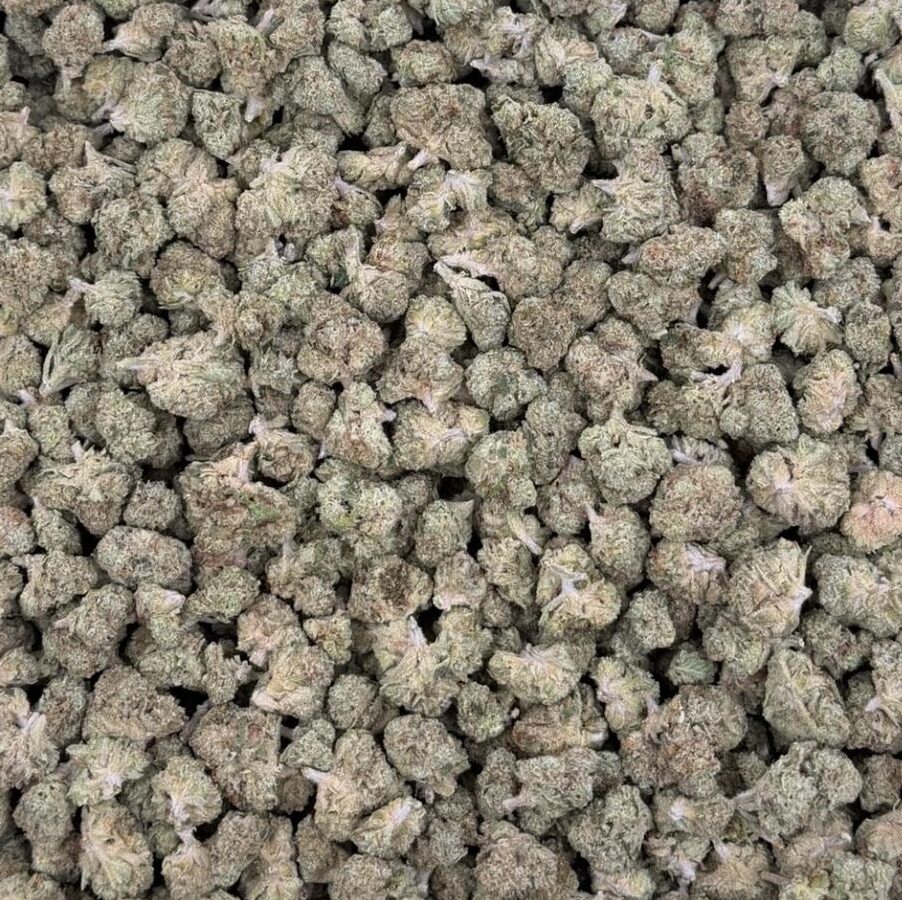 Grape Head – THCA Flower Medium Sized Buds (Indoor)