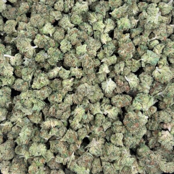 GG4 – THCA Flower Medium Sized Buds (Exotic Indoor)