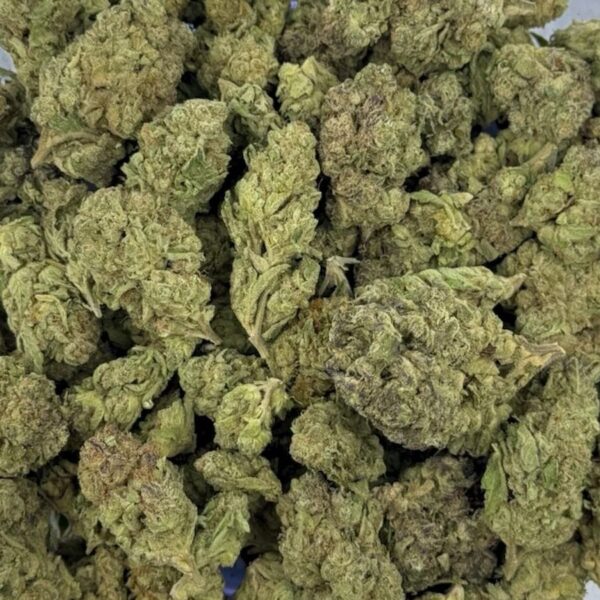 Baggio Gelato – THCA Flower Buds (Indoor)