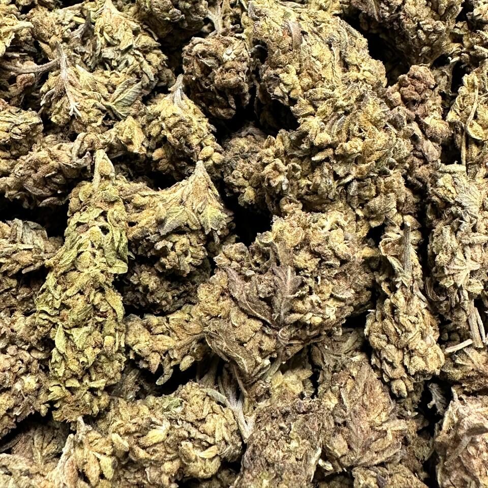 Baggio Gelato – THCA Flower Buds (Indoor)