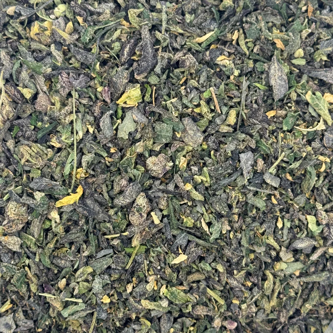 Blockberry – Budget THCA Trim
