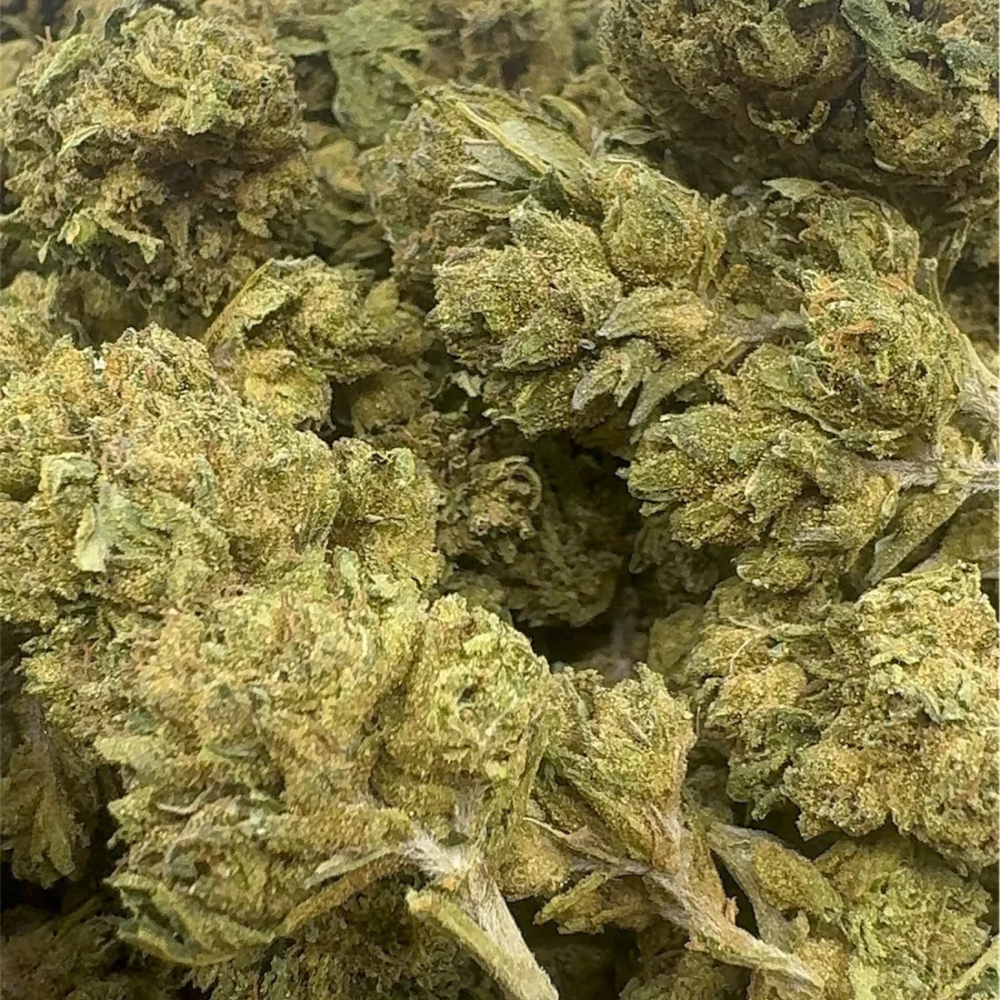 GG4 – THCA Flower Buds (Exotic Indoor)