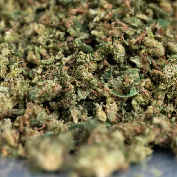 Blockberry – Budget THCA Shake