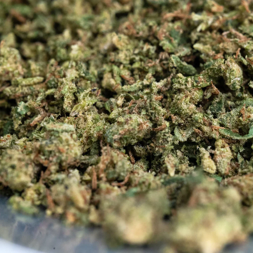 Blockberry – Budget THCA Shake