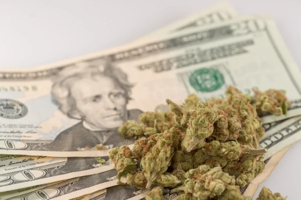 New Michigan Marijuana Tax Could Shutter Businesses And Actually Reduce The State’s Cannabis Revenue, Industry Says