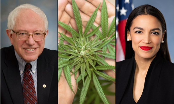 Bernie Sanders And AOC Joke About Marijuana At Nationally Televised Town Hall Meeting