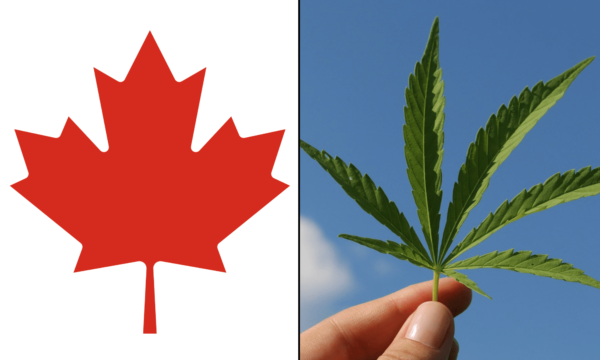 Majority Of Canadians View Marijuana Industry As ‘Important’ To Country’s Economy, Poll Finds As Cannabis Use Rates Match Nicotine