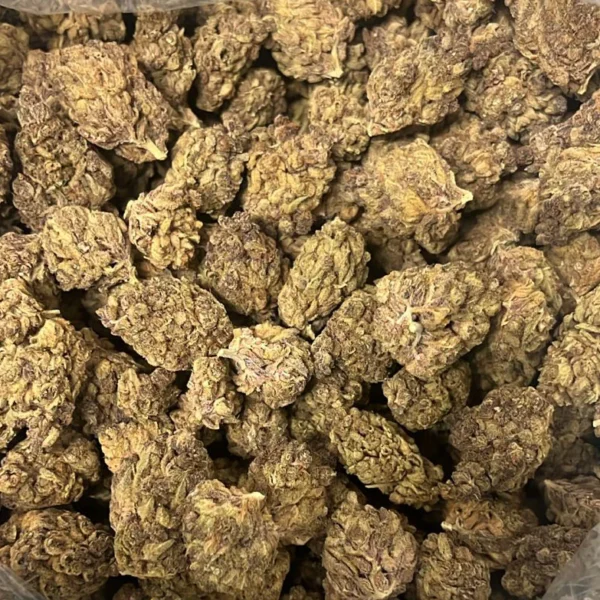 Citrus Mistress – THCA Flower Buds (Indoor)