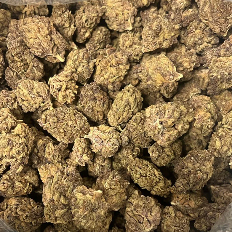 Citrus Mistress – THCA Flower Buds (Indoor)