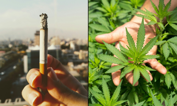 More Americans Now Use Marijuana Than Smoke Cigarettes, New Study Shows