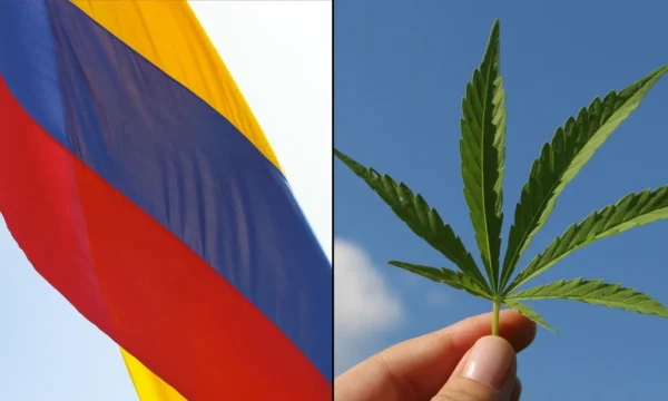 Colombia’s President Tells Trump To Legalize Marijuana To Combat Illicit Drug Trade