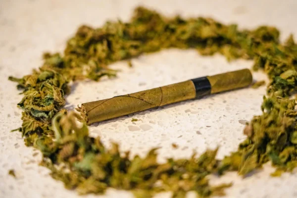 Marijuana Blunt Smoking Has ‘Increased Significantly’ In The U.S. In Recent Years, Study Shows