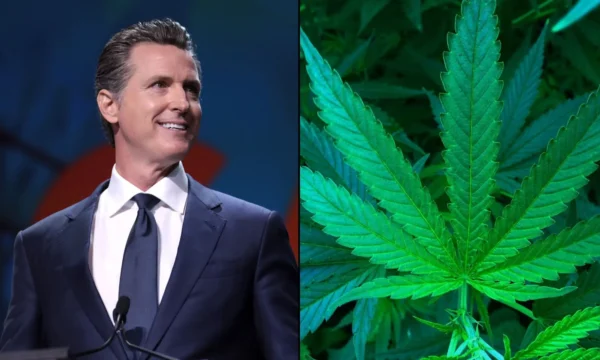 Newsom Vetoes California Bill To Let Marijuana Businesses Deliver Products Directly To Patients
