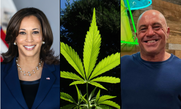 Joe Rogan Pushes Back Against Kamala Harris’s Claim He ‘Lied’ About Her Willingness To Discuss Marijuana On His Podcast