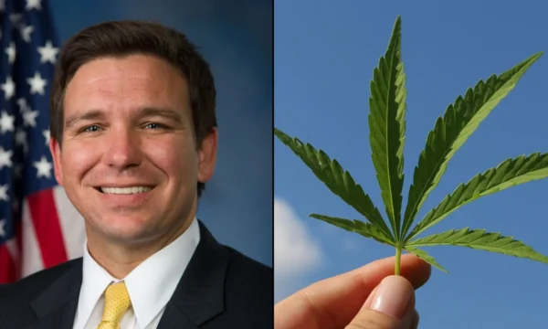 Florida Officials Are Revoking Medical Marijuana IDs From Patients And Caregivers With Drug Convictions Under Law Signed By DeSantis