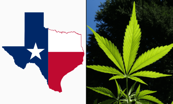 Texas Health Officials Adopt Rules To Ban Hemp THC Sales To People Under 21 In Response To Governor’s Executive Order