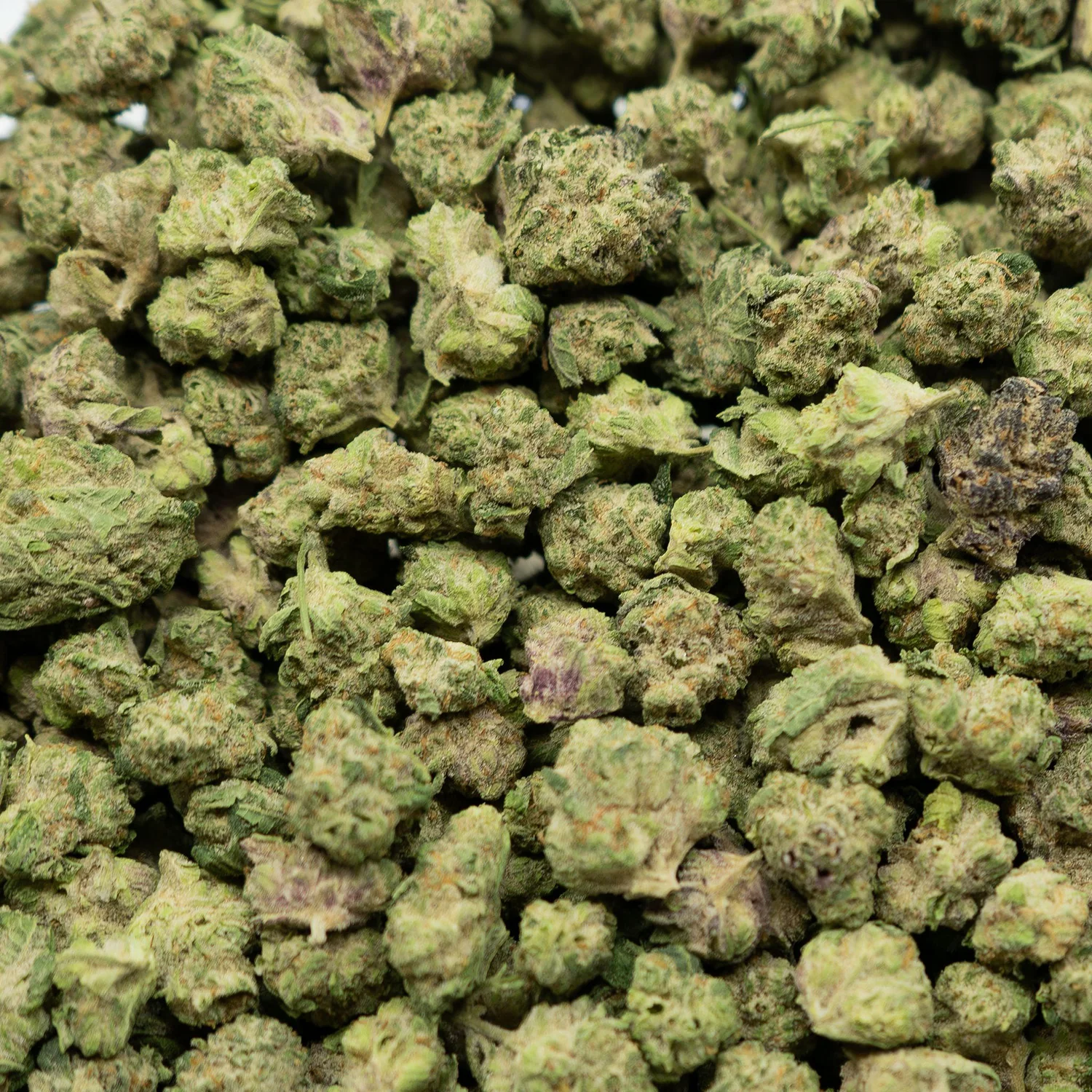 AK47 – THCA Flower Buds (Exotic Indoor)