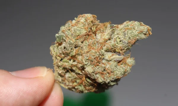 Virginia Lawmakers Discuss Steps To Prepare State To Legalize Recreational Marijuana Sales Next Year