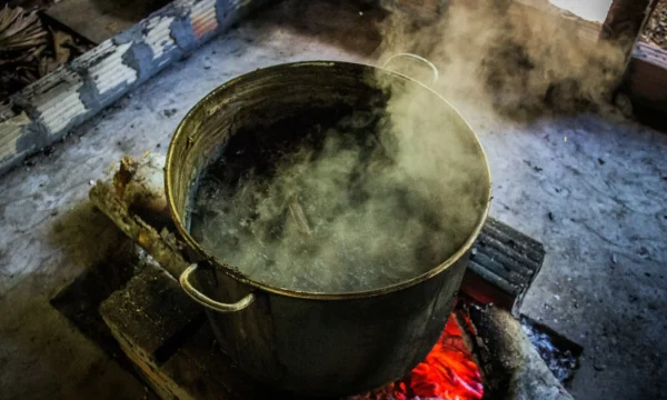 Federal Judge Calls Out DEA Over Delay On Psychedelic Church’s Petition To Use Ayahuasca In Religious Ceremonies