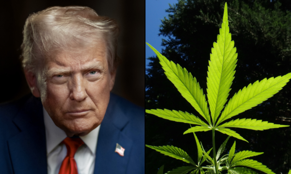 Trump Signs Bill To Recriminalize Hemp THC Products, Years After Approving Their Legalization