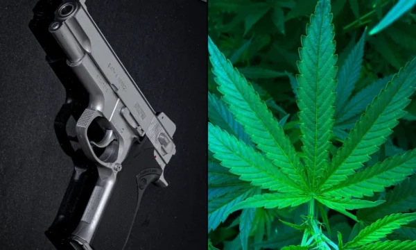Supreme Court Grants Trump Admin’s Request For Deadline Extension In Marijuana And Gun Rights Case