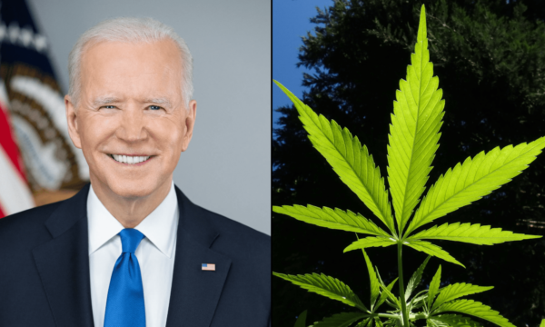 Former White House Staffers Shed Light On Marijuana Pardon And Rescheduling Process Under Biden