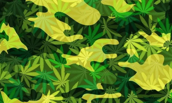 Congress Abandons Effort To Let VA Doctors Recommend Medical Marijuana On Veterans Day