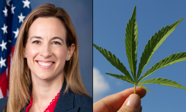 New Jersey’s Incoming Governor Supports Legalizing Marijuana Home Cultivation