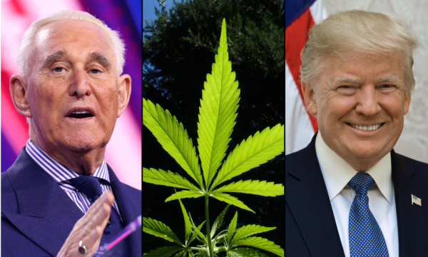 GOP Operative Roger Stone Blasts ‘Cheap Cop-Out’ Hemp Ban That Trump Signed Into Law