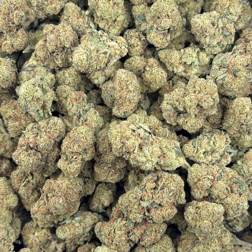 Tahoe OG – THCA Flower Medium Sized Buds (Exotic Indoor)