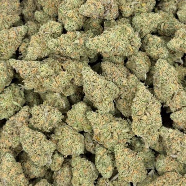 Blue Dream – THCA Flower Big Sized Buds (Indoor)
