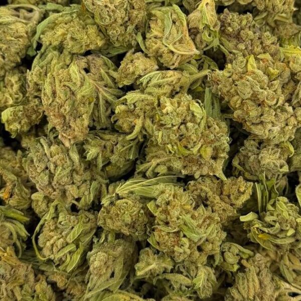 MAI THAI – THCA Flower Medium Sized Buds (Indoor)