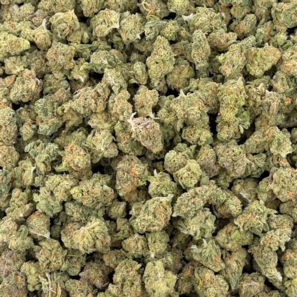 Shake Shack – THCA Flower Medium Sized Buds (Exotic Indoor)