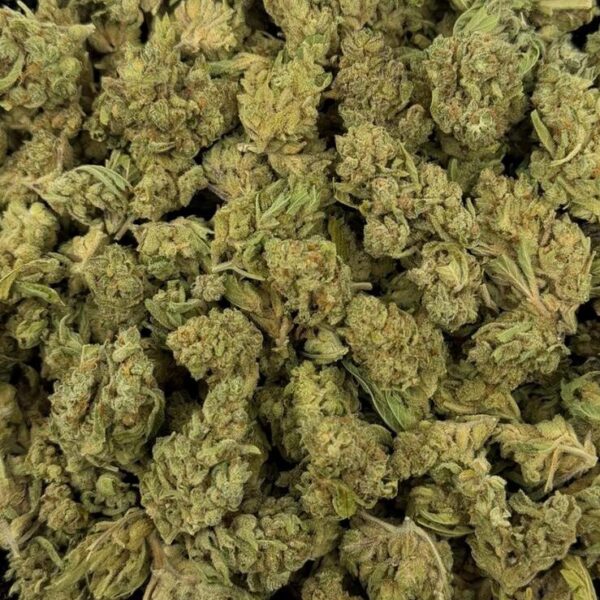Cake Crashers – THCA Flower Medium Sized Buds (Indoor)