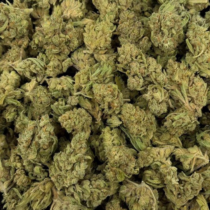 Cake Crashers – THCA Flower Medium Sized Buds (Indoor)