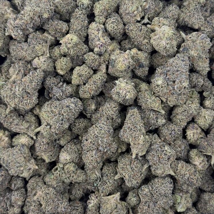 Mushroom Cake – THCA Flower Medium Sized Buds (Exotic Indoor)