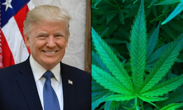 Trump’s Marijuana Executive Order Details Leaked Ahead Of Announcement, Including CBD And Hemp Provisions