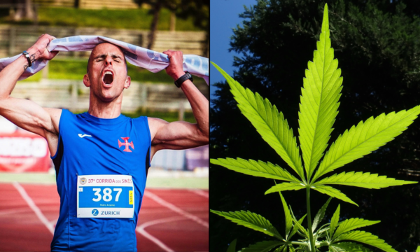 Olympic athlete runner sports marijuana cannabis.png