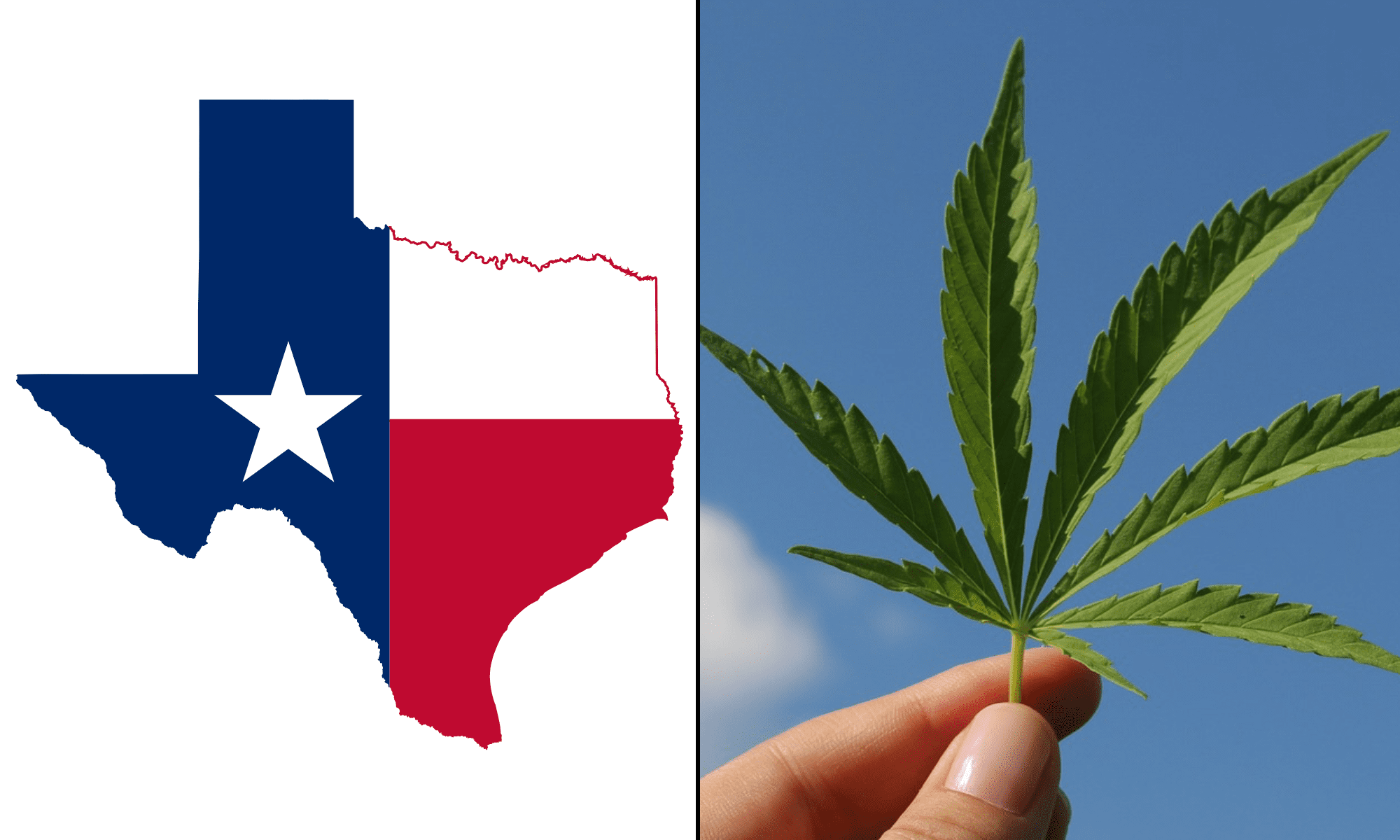 Texas flag marijuana cannabis leaf.png