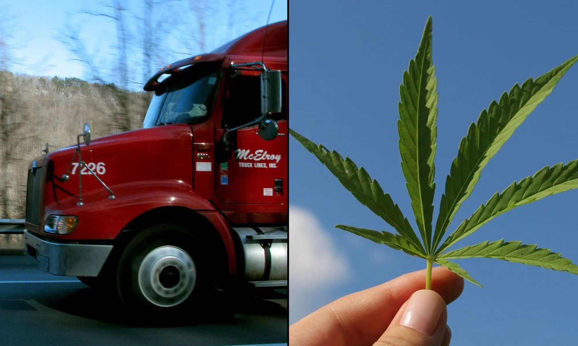 Truck marijuana.jpg