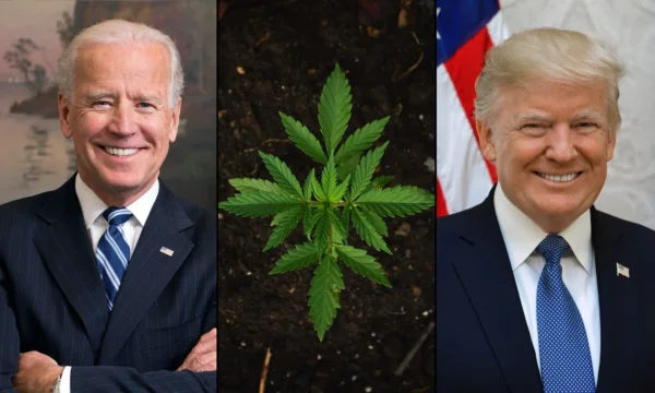 Newly Revealed Biden Marijuana Guidance Rescinded By Trump DOJ Ordered Prosecutors To Seek Higher-Up Approval For Cases