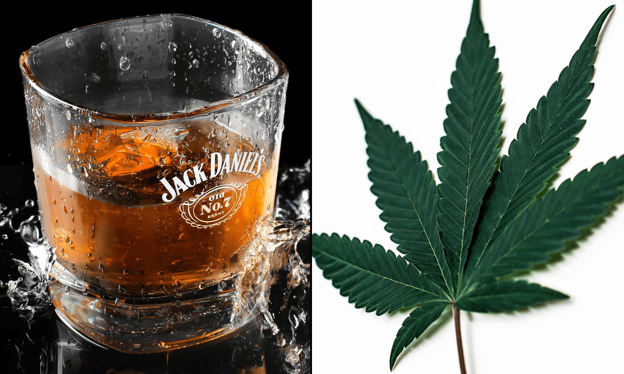 Whiskey alcohol marijuana cannabis.png