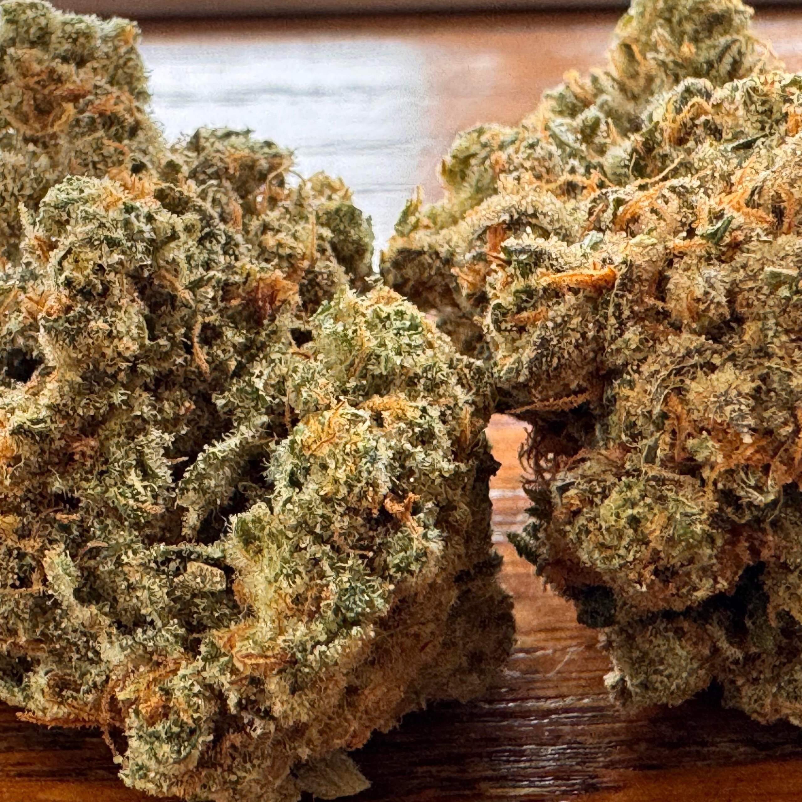 Second image of Chem Dog – THCA Flower Big Sized Buds (Exotic Indoor)