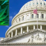 Capitol congress marijuana.jpg
