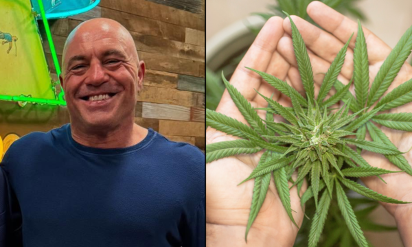 Joe Rogan Surprised After GOP Senator Says Marijuana And Alcohol Industries Jointly Backed Push To Ban Hemp THC Products