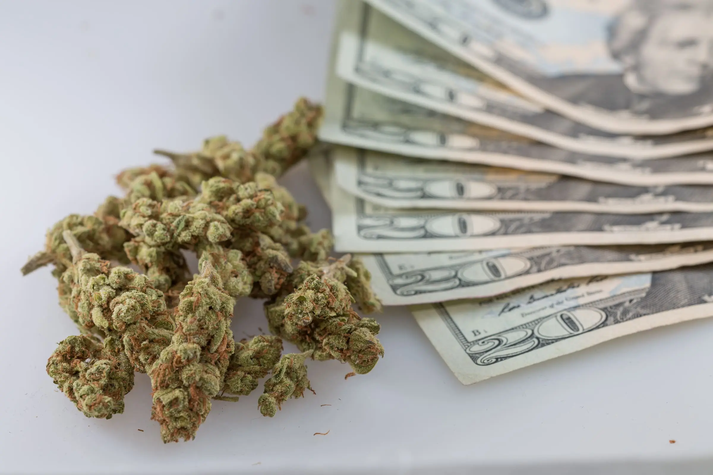 Marijuana money cash 6.jpg