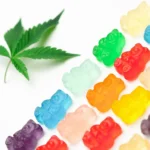 Pexels kindel media 7668051 scaled e1659458886459.jpg