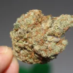 Weed 2517248 1920 e1541068407515.jpg