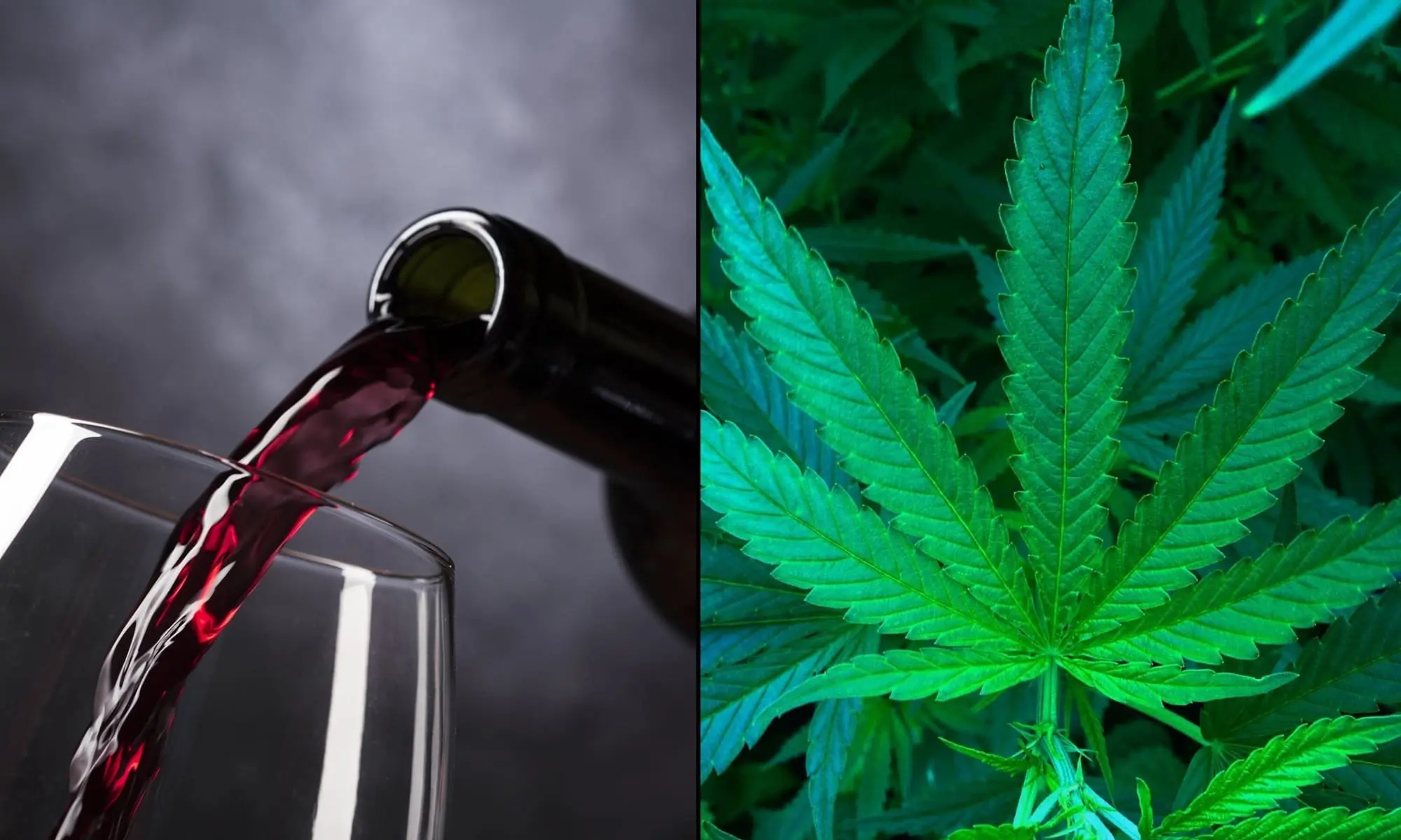 Wine alcohol marijuana.jpg